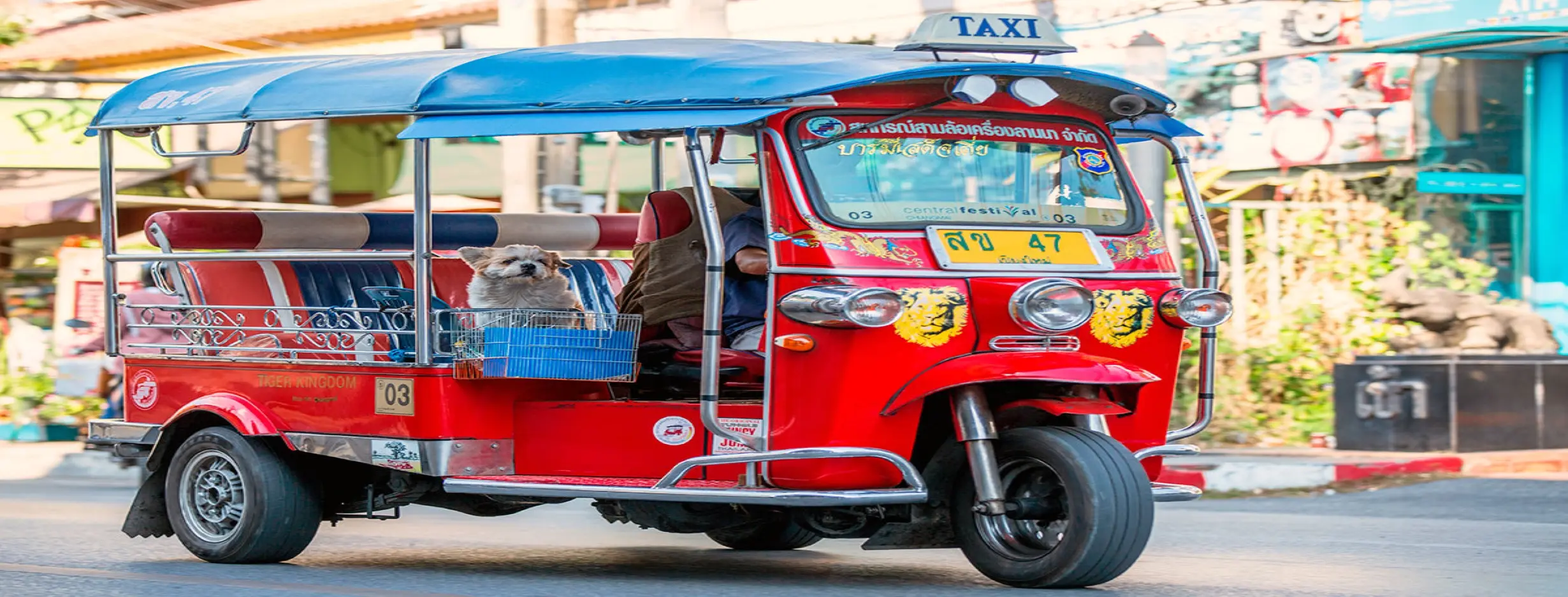 Image for TukTuk Adventure